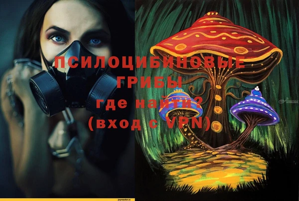ALPHA-PVP Алексеевка