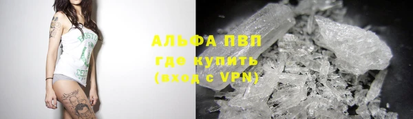хмурый Алзамай