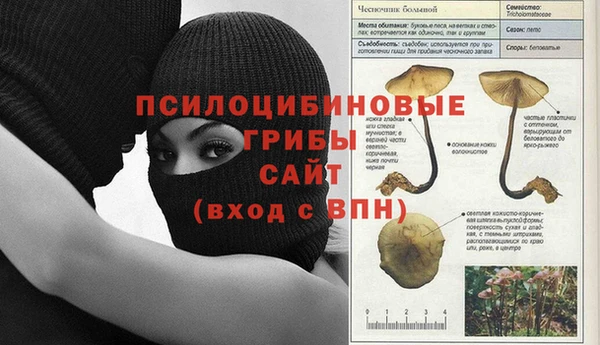 хмурый Алзамай