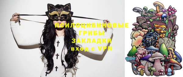 хмурый Алзамай